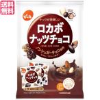 ロカボナッツチョコ 160g (小袋10入) でん六