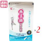 [11/16( день ) ограничение! отметка +10%] rental pi море йогурт. . кислота . supplement Fuji ko. шар .. chikala31 шарик 2 пакет комплект бесплатная доставка 