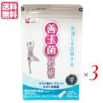 [11/17( месяц ) ограничение! отметка +7%] rental pi море йогурт. . кислота . supplement Fuji ko. шар .. chikala31 шарик 3 пакет комплект бесплатная доставка 