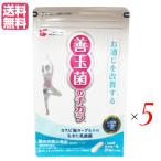 [11/16( день ) ограничение! отметка +10%] rental pi море йогурт. . кислота . supplement Fuji ko. шар .. chikala31 шарик 5 пакет комплект бесплатная доставка 