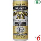 Yahoo! Yahoo!ショッピング(ヤフー ショッピング)ジンジャーエール 缶 辛口 ヒカリ オーガニックジンジャーエール 250ml ６本セット