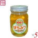 はちみつ 蜂蜜 国産 五十川養蜂園 国産はちみつ アカシア 500g ５個セット 送料無料