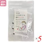 Yahoo! Yahoo!ショッピング(ヤフー ショッピング)【10/8（水）限定！ポイント+4％】生姜 生姜湯 りんご 朝のアップルホットジンジャー 36g（12g×3包） ５個セット 送料無料