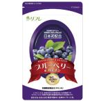 お得な6袋セットリフレブルーベリー...
