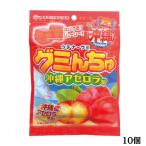 oki Cogu mi... ацерола 40g 10 шт. комплект . данный земля gmi фрукты gmi закуска большая вместимость Okinawa . земля производство Okinawa земля производство ( бесплатная доставка )