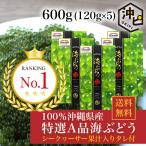 特選A品 海ぶどう 100％沖縄県産 シークヮーサー タレ付き 600g(120g×5パック) 沖ピ 送料無料 お取り寄せ グルメ ギフト お歳暮