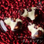 バレンタイン チョコ おもしろ チョコレート ダルメシアン 1個（手提げ袋付き） 2026 面白い 高級 1粒 かわいい おしゃれ 本命 義理チョコ 友チョコ VD