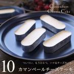 チーズケーキ カマンベールチーズケーキ 10個入り チーズケーキお取り寄せ 個包装 誕生日 内祝い スイーツ ギフト プレゼント お試し ホワイトデー 母の日 広島