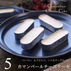 チーズケーキ カマンベールチーズケーキ 5個入り チーズケーキお取り寄せ 個包装 誕生日 内祝い スイーツ ギフト プレゼント お試し ホワイトデー 母の日 広島