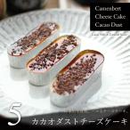 ショッピングチーズケーキ カカオダスト チーズケーキ 5個（カマンベールチーズケーキ・5個、トッピング・5個）濃厚 お取り寄せ 個包装 誕生日 ギフト お菓子 母の日 父の日