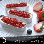  Berry Berry Berry чизкейк 5 шт (ka man вуаль чизкейк *5 шт, топпинг *5 шт ). толщина высококлассный шт упаковка день рождения подарок сладости День почитания пожилых людей подарок по случаю конца года 