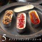3種のダブルトッピング チーズケーキ 5個（カマンベー