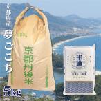 玄米 5kg 送料無料 白米