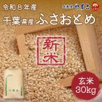 ���� �V�� ��t���Y�ӂ����Ƃ� 1�� 30kg �ߘa8�N�Y�� �ꓙ������ 30�L��
