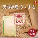 ���� �V�� ��錧�Y�ӂ��܂� 1�� 30kg �ߘa8�N�Y�� �ꓙ������ 30�L��