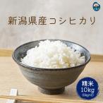 白米 新潟県 コシヒカリ 10kg(5kg×2) 令和7年産米 精白米 精米