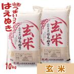 玄米 10kg はえぬき 山形県産 5kg×2袋 