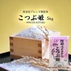 無洗米 5kg (5kg×1) 格安ブレンド米 こつぶ姫 お米