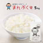 お米 5kg (5kg×1袋) まんぷく米 国内産 オリジナルブレンド米