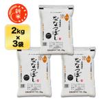 新米北海道産ななつぼし白米/玄米&...