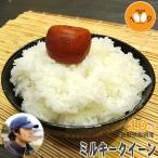 ショッピング米 10kg 米 10kg 長野県飯綱産 ミルキークイーン YOU優FARM 令和7年産