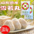 令和6年産 玄米10kg 山形県産雪若丸