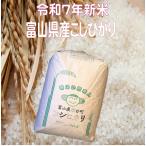 玄米30kg 令和7年産 富山コシヒカリ