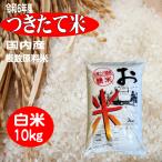 お米 白米10kg つきたて米 国内産 複数原料米