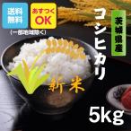新米 米 お米 5kg コシヒカリ 白米 玄米5kg 白米4.5kg 茨城県産 令和7年産 送料無料 一部地域除く