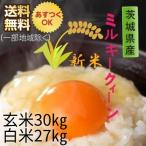 新米米お米30kgミルキークィーン...