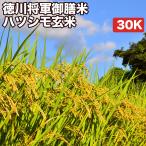 クーポンご利用で10％OFF 米 お米 30kg 減農薬 徳川将軍家御膳米 ハツシモ 岐阜県産 令和4年産 玄米（5kg×真空パック6袋） 精米無料 真空パック無料 送料無料