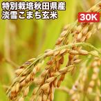 特別栽培米 秋田県産 淡雪こまち 30kg お米　【選べる搗き方 白米・ハイガ米・玄米・8分搗きなど】【送料無料】