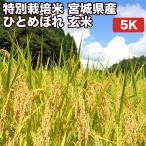 玄米 5kg 真空パック（5kg×1袋）減農薬 特別栽培米  宮城県産 ひとめぼれ 令和4年産 精米無料 真空パック無料 送料無料 節減対象農薬のデータ公開してます