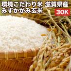 新米 令和5年産 玄米 30kg 真空パック（5kg×6袋）減農薬 環境こだわり米  みずかがみ 滋賀県産 令和5年産 精米無料 真空パック無料 送料無料