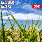 クーポンご利用で10％OFF 米 お米 30kg 新之助 新潟県産 令和4年産 玄米（5kg×真空パック6袋） 精米無料 真空パック無料 送料無料