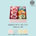 【老舗の高級米】 八代目儀兵衛 送料無料 米 ギフト (お米2合×6個入り) 「BABY RISE ガーベラ」| お米 入学内祝い 結婚内祝い 出産内祝い お返し
