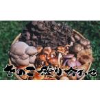  натуральный .. .( натуральный грибы местного производства ) оставив решение кому-то другому пик соединять комплект 500g подарок соответствует 