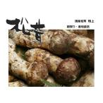 сосна . местного производства сосна . Special сверху (.) примерно 100g юг Aizu блок производство Iwate префектура производство matsutake ... длина свежий прямая поставка от производителя подарок соответствует 