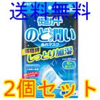 快適ガードのど潤いぬれマスク　無香タイプ　レギュラーサイズ　３枚入　2個セット　全国一律送料無料