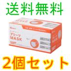 アイリスオーヤマ　プリーツマスク　学童サイズ　ＰＮ−ＮＶ５０Ｇ　５０枚入　2個セット　全国一律送料無料