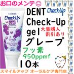 ショッピングチェックアップ チェックアップジェル ハミガキジェル グレープ 60g ライオン 10本 DENT LION ライオン Check-Up gel フッ化物950ppmf　６歳〜10代