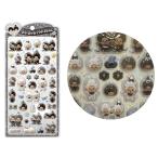 宅配便発送　訳あり品（大）モンチッチ　モノトーン　うるちゅるポップシール