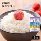 米 お米 米5kg 白米 送料無料 ななつぼし 北海道産 安い 5kg おこめ 米5キロ お米5キロ 5キロ お米5kg 精米 単一原料米 令和6年産 高級 格安