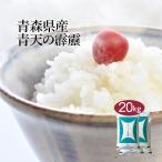米 お米 米20kg 白米 送