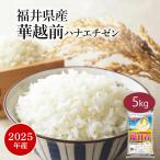 米 お米 米5kg 白米 送料無料 華越前 ハナエチゼン 福井県産 安い 5kg おこめ 米5キロ お米5キロ 5キロ お米5kg 精米 単一原料米 令和7年産 格安