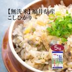 無洗米 5kg 米 お米 コシヒカリ 福井県産 お米 米5kg 無洗米 5キロ 送料無料 米無洗米 白米 精米 おこめ 宅配 送料無 生活応援 令和6年産 単一原料米