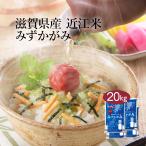 米 お米 米20kg 白米 送料無料 みずかがみ 滋賀県産 安い 20kg こめ20kg 米20キロ お米20キロ お米20kg 精米 単一原料米令和6年産 生活応援 格安