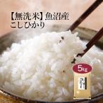 無洗米 5kg 米 コシヒカ