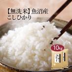 無洗米 10kg 5kg×2 コシ