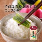 米 お米 米5kg 白米 送料無料 コシヒカリ 新潟県産 5kg おこめ 米5キロ お米5キロ 5キロ お米5kg 精米 単一原料米 令和6年産 高級 特別栽培米